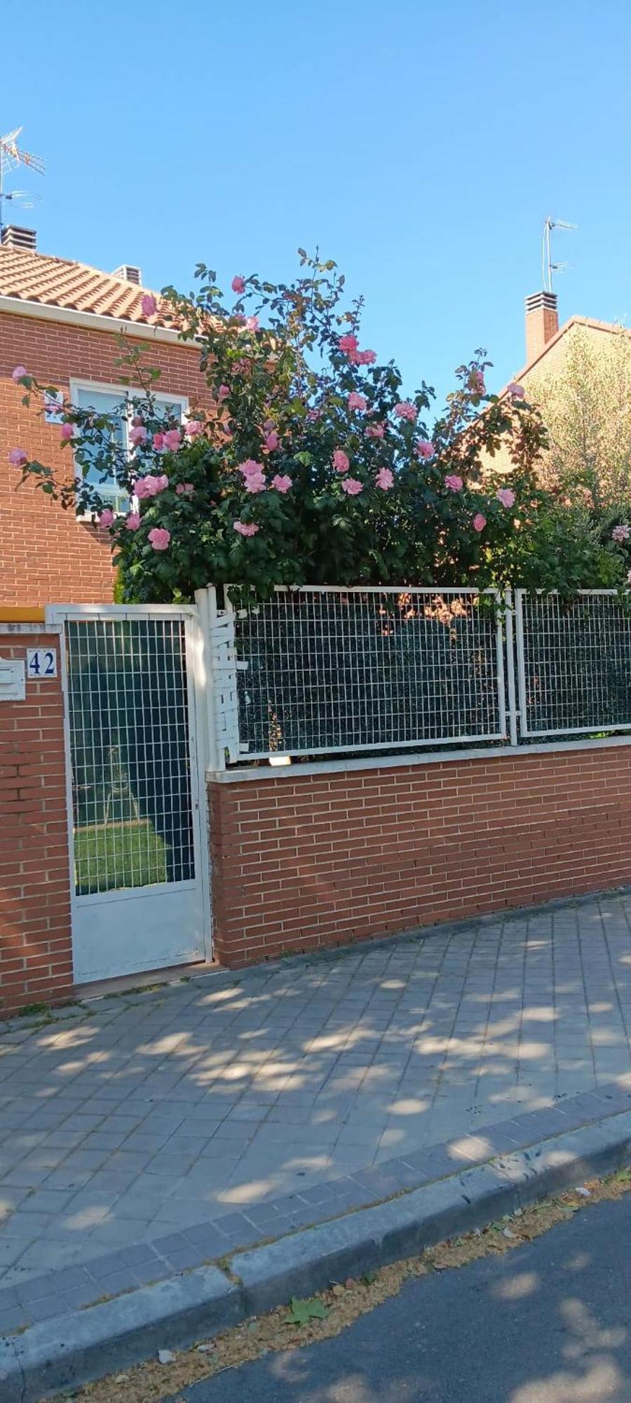 Villa Lendi Ривас-Васиямадрид Екстериор снимка
